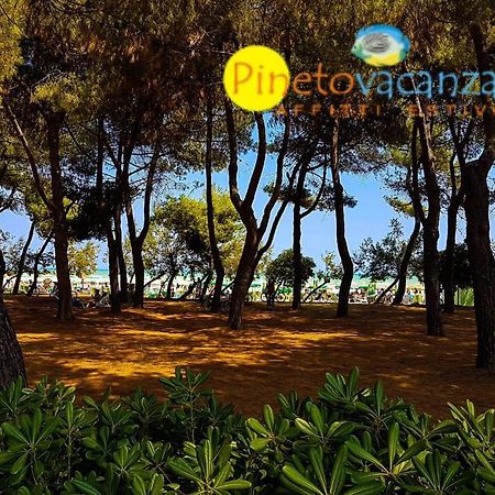 Myconos C2 - Pineto Vacanza エクステリア 写真