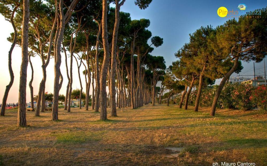 Myconos C2 - Pineto Vacanza エクステリア 写真