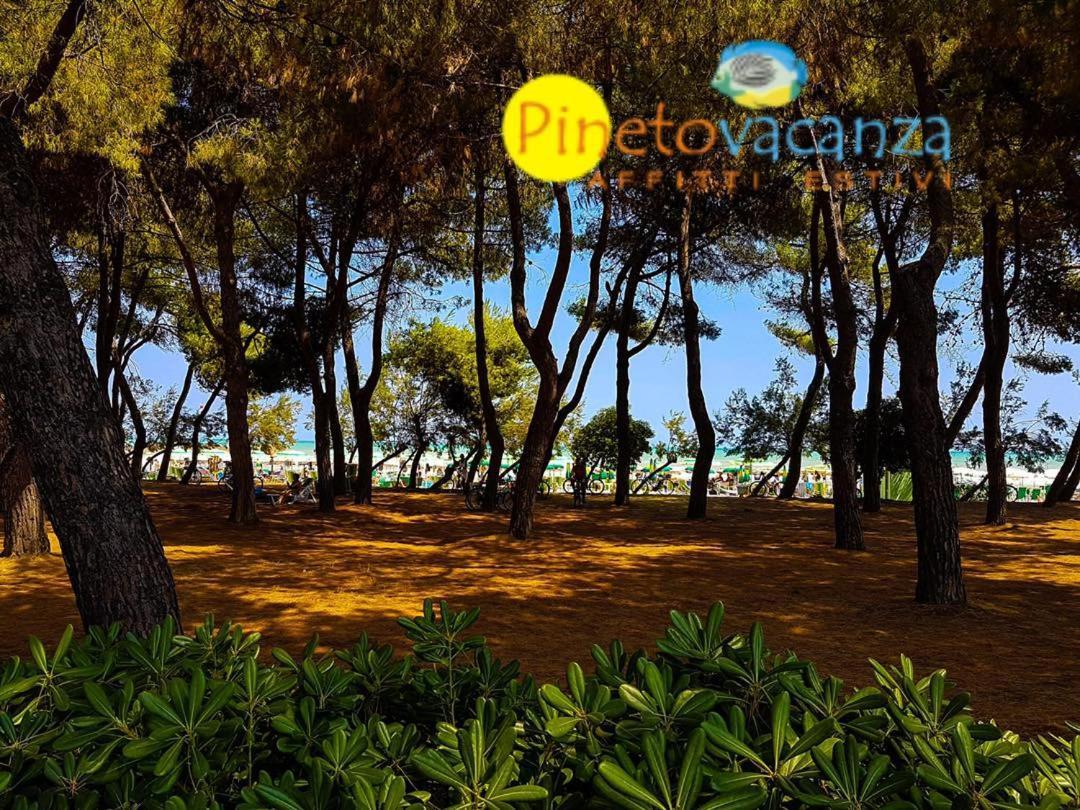 Myconos C2 - Pineto Vacanza エクステリア 写真